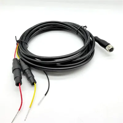 M8 5Pin plug with 2A 250V fused cable