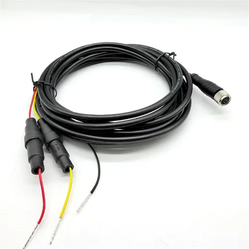 M8 5Pin plug with 2A 250V fused cable