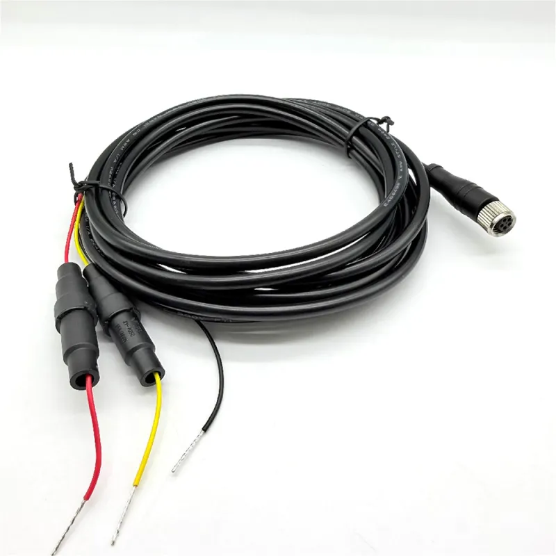 M8 5Pin plug with 2A 250V fused cable