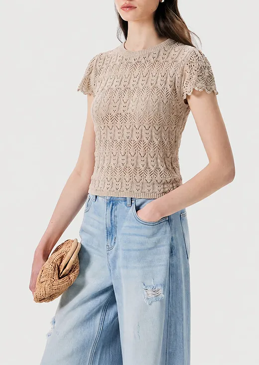 Crochet Hollow Lace Short Sleeve Knit Top