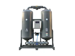 Micro-heat adsorption compressed air dryer