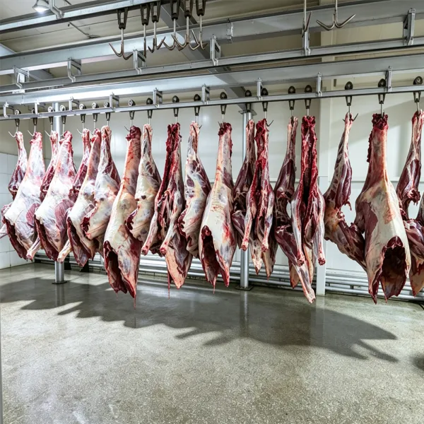 Fresh Bone-In Whole Horse Meat