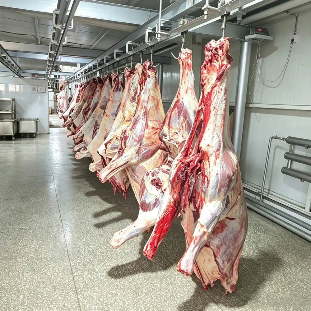 Whole Fresh Horse Meat Bone-In