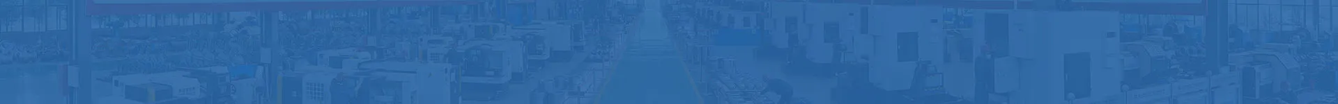 المنتجات الرئيسية