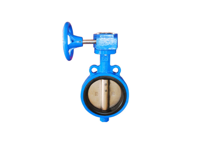 Large-Bore Centreline Butterfly Valve