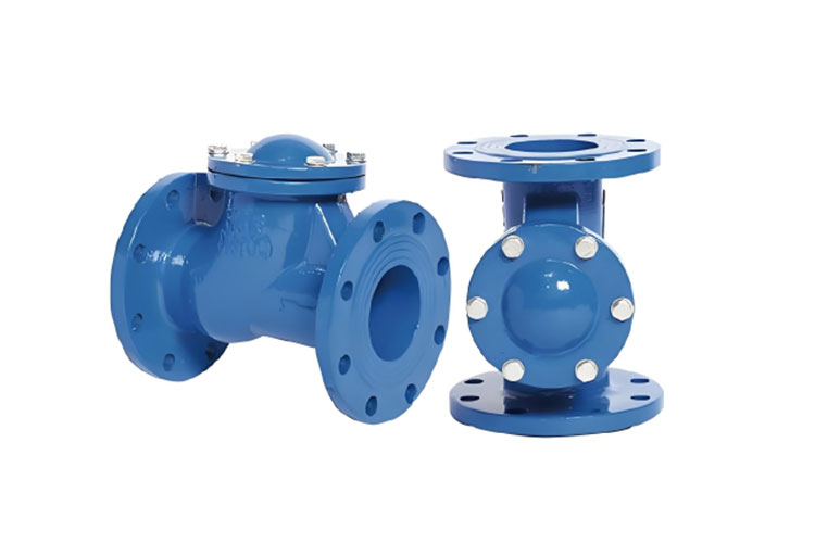 Power Station Specific Ball Check Valve