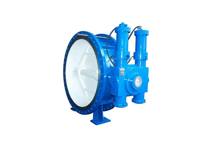 Hard-sealed And Soft Seated Butterfly Valve