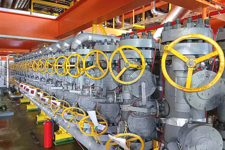 High Temperature Wear Resistant DBB Valves