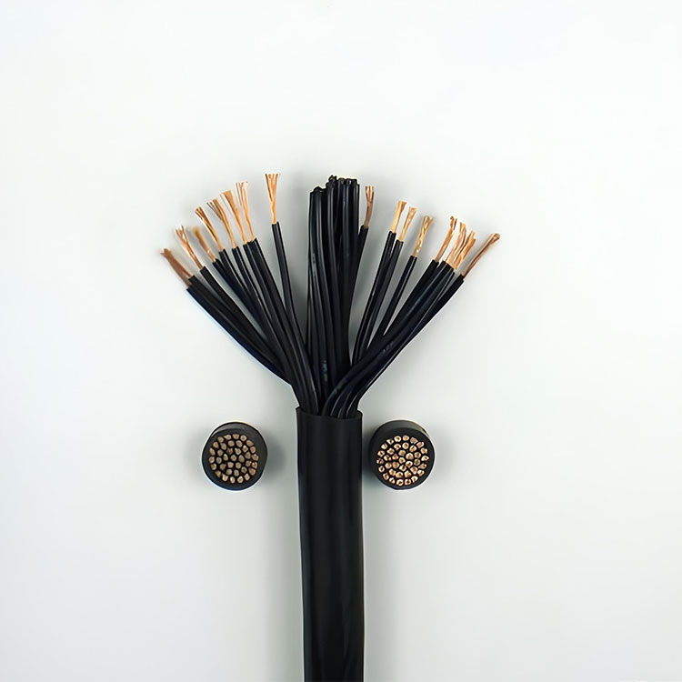 450-750V Anti-interference Shielded Control Cable