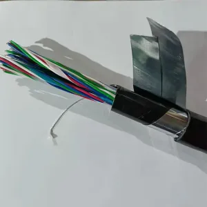 铁路配套系统用阻燃信号电缆