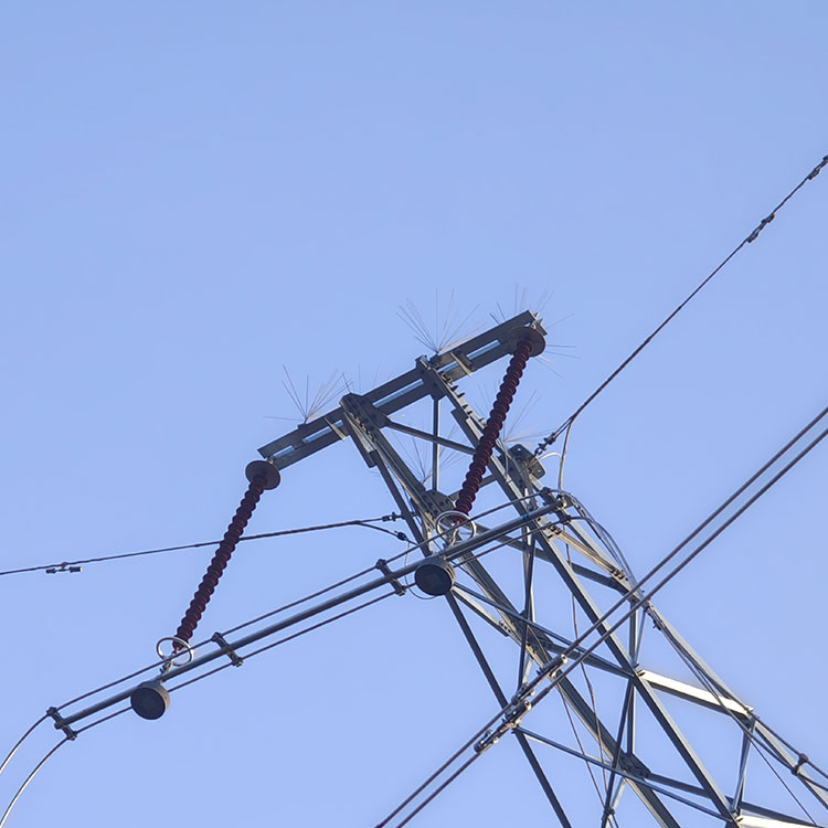 Conductor Suspension String