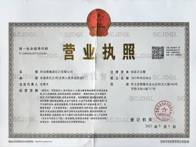 Business License