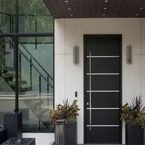 Aluminum alloy door