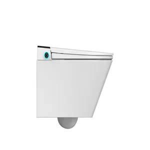 wall-hung toilet TA-E51DF