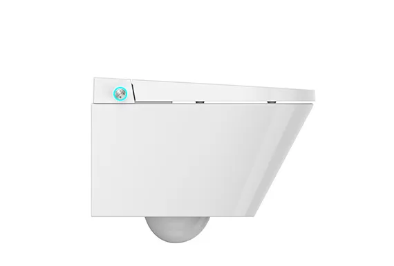 wall-hung toilet TA-E50DF