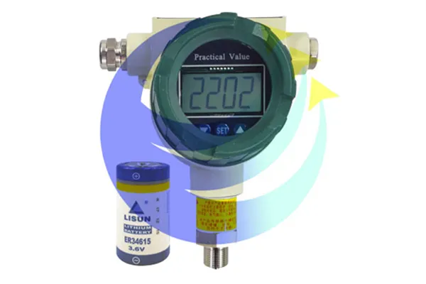 AO910PD Instrument d'affichage de pression alimenté par batterie sur place