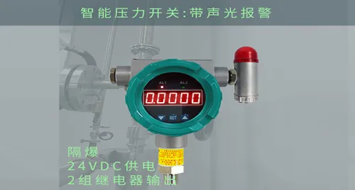 Application of Intelligent Digital Pressure Switch in a Chemical Site