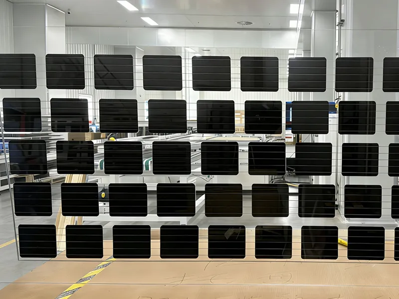 Special Shaped BIPV Module