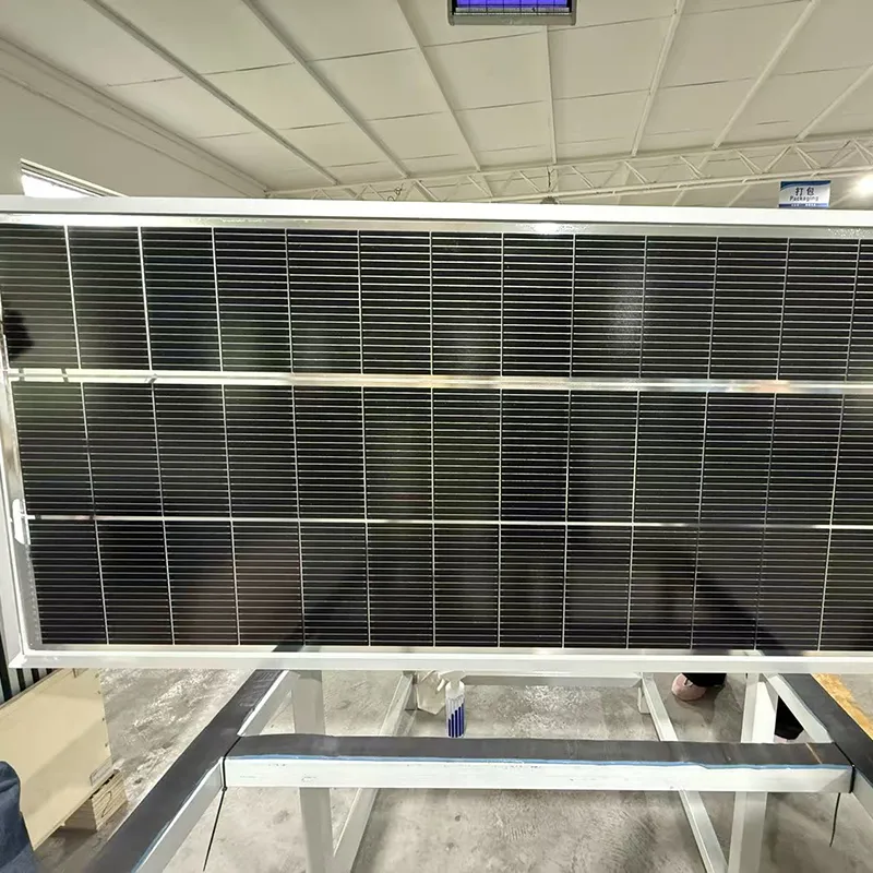 Customized Agricultural Cost Effective Multi-Span Solar Panel Photovoltaic Panel Glass Greenhouse