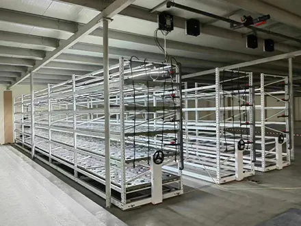 Orbital mobile seedbed