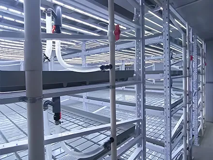 Visualization of the double-layer track seedbed ordered by a US customer