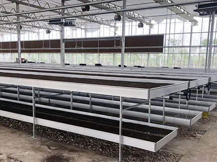 Double-layer hot-dip galvanized mesh mobile seedbed