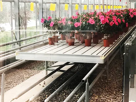 Tidal seedling tray logistics seedbed