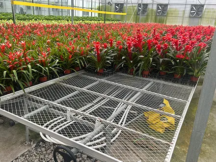 Hot-dip galvanized mesh mobile seedbed