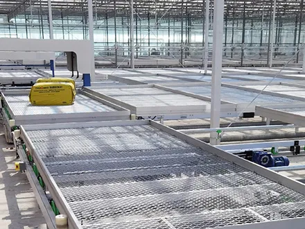 Steel mesh logistics seedbed