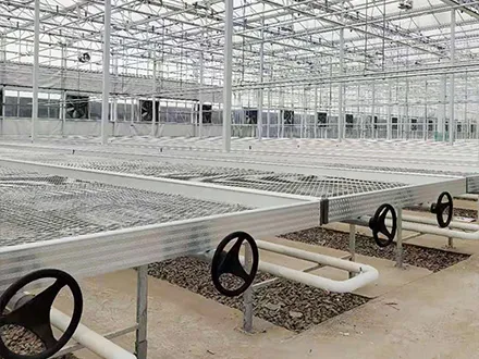 Steel mesh movable seedbed