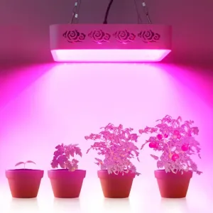 Europe USA Standard Hydroponic Growing Light System Customizable with High Quality Red Blue LED Chips