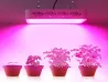 Europe USA Standard Hydroponic Growing Light System Customizable with High Quality Red Blue LED Chips