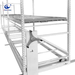 Commercial-Grade Handwheel Operated Vertical Farming Bench with Ebb and Flow Trays Can Rolling Multi-Layer Track Seedbed