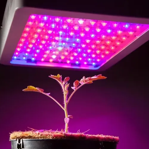 HOT Sale Commercial High Power Indoor Gardening Plant Mushroom Hydroponics Complete Led Lighting for Agriculture Greenhouse