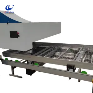 Fully Automatic Logistics Mesh Surface Seedbed Greenhouse Seedbed Equipment Supplier Movable Mesh Surface Seedbed