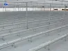 Greenhouse Bracket Cultivation Trough Specialized Cultivation Trough Planting System for Eggplants and Fruits