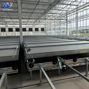 Fully autonmatic tidal logistics seedbed  Greenhouse seedling fully automatic irrigation equipment