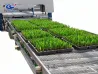 Fully Automated Logistics Mesh Surface Seedbed   Greenhouse seedling fully automatic transportation system