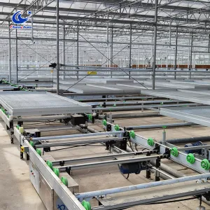 ﻿ Greenhouse seedling automatic rolling cultivation bed   Supplier of fully automatic seedling bed system for plant seedling cultivation