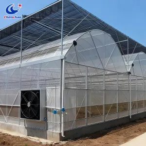 Plastic Film Greenhouse  Galvanized steel frame greenhouse  Large Scale Greenhouse Manufacturer