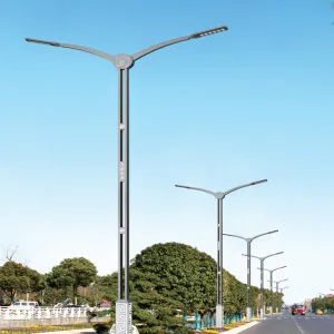 Custom Decorative LED Street Light Series
