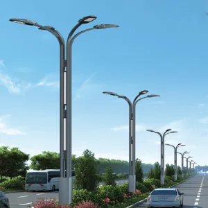 Phoenix Series LED Street Light