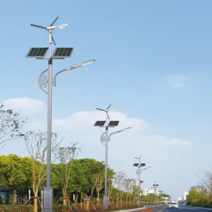 Wind-Solar Hybrid LED Street Light