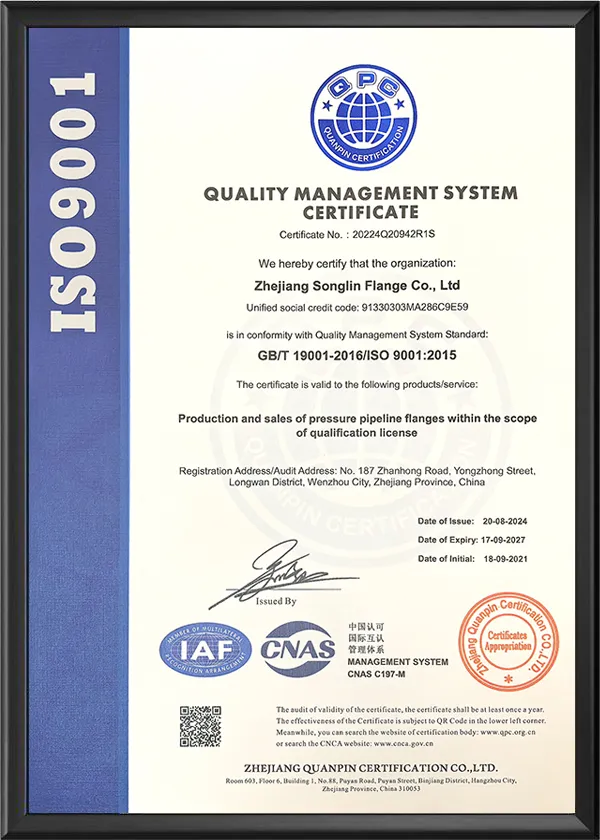ISO9001 english