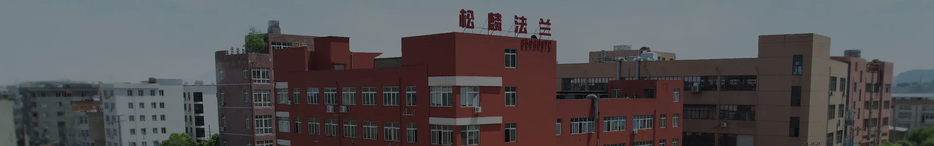 公司介绍s