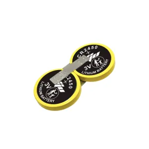CR2450-2P soldered battery