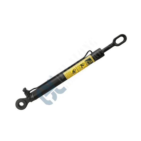 Cab Tilt Cylinder Other Trucks