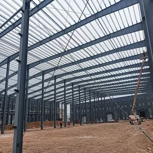 Steel Structure Factory Building Construction