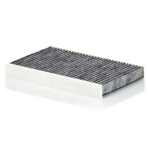 Cabin Filter   10770147  