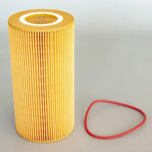 Oil Filter 10130137  